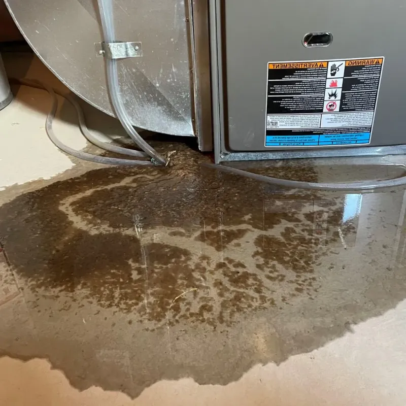 Pipe Burst and Leak Restoration in Cherokee, NC