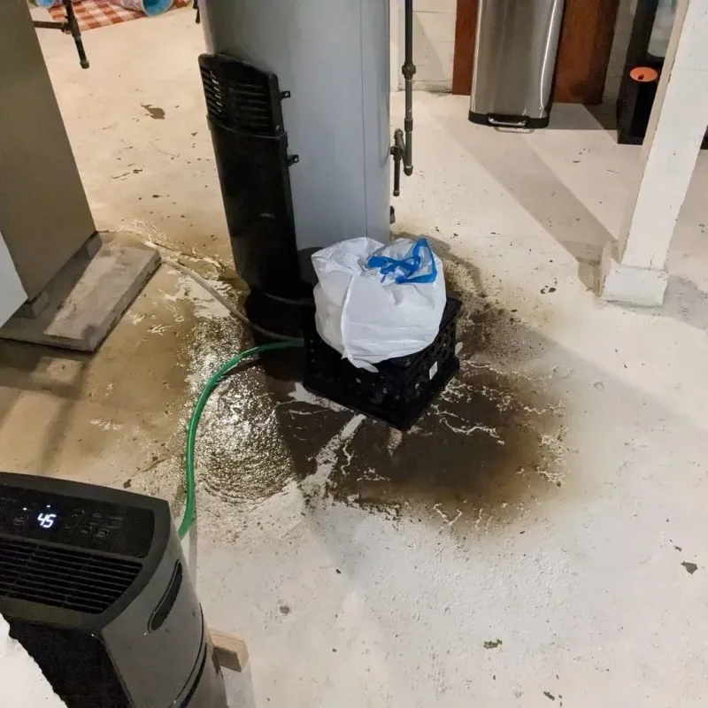 Sewage Backup Cleanup Service in Cherokee, NC